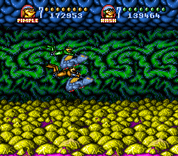 Battetoads in Battlemaniacs8.png - игры формата nes
